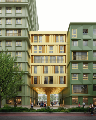 Gingko, Utrecht