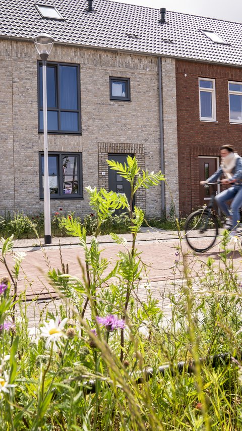 Heijmans Huismerkwoningen in de wijk Koningsoord in Berkel-Enschot.