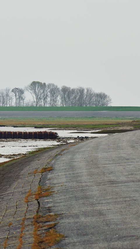 Lauwersmeerdijk Groningen Waddenzee 2022