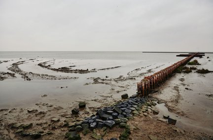 Dijkversterking Lauwersmeerdijk Groningen infra biodiversiteit_14