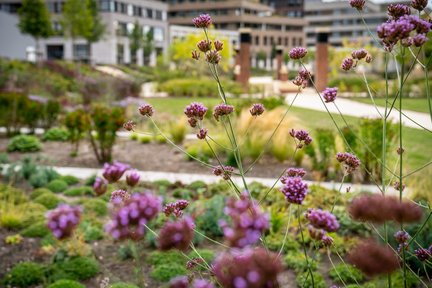 Greenville Leidsche Rijn Centrum Utrecht Stadstuin groen