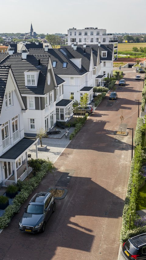 Duineveld Noordwijk aan zee _06.jpg