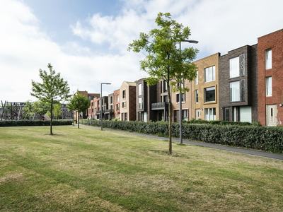 Nieuw Crooswijk, Rotterdam