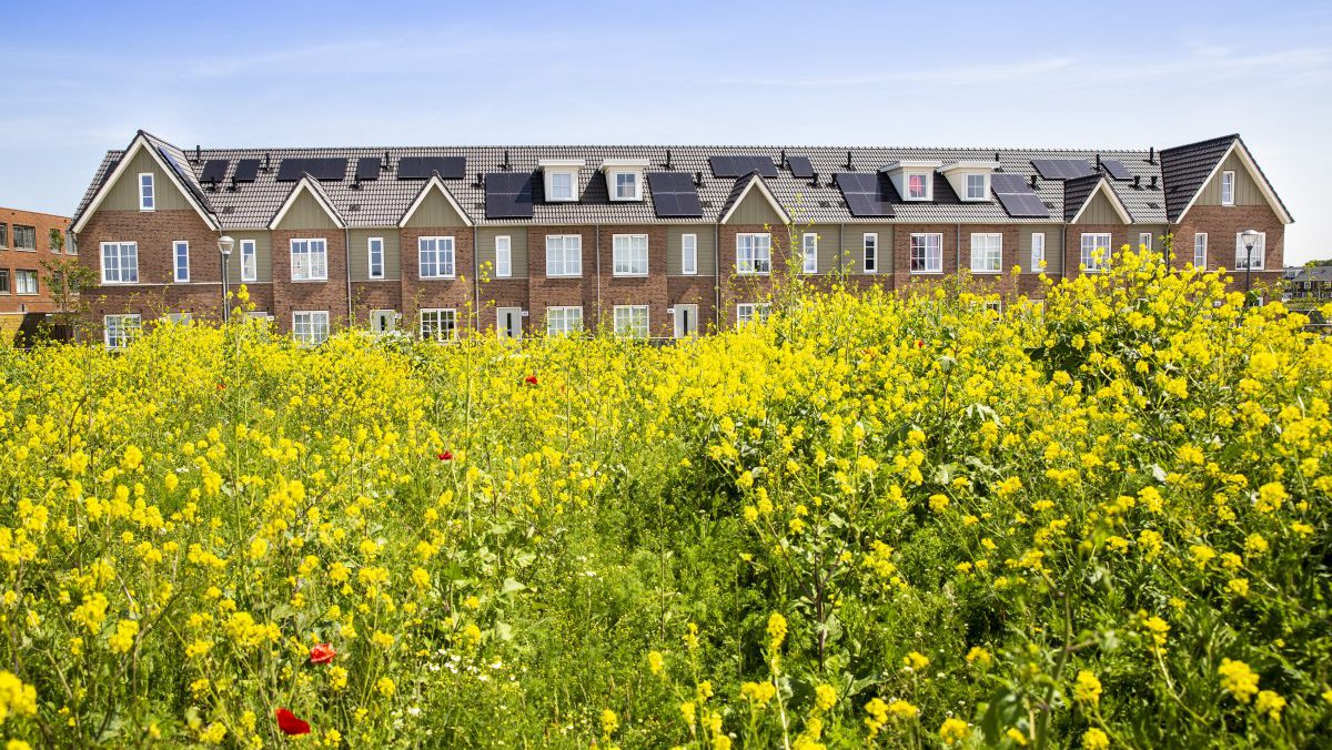 Heijmans Huismerk straat voor het project Voorhout, Hooghkamer.jpg