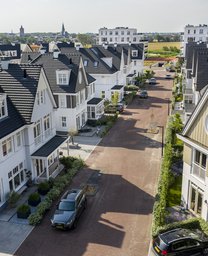 Duineveld Noordwijk aan zee _06.jpg