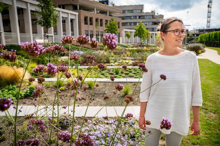 Marita Koch Baljon Landschapsarchitecten Greenville Utrecht